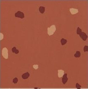 Wear Resistant Outdoor Rubber Flooring Rolls Environmental Friendly
